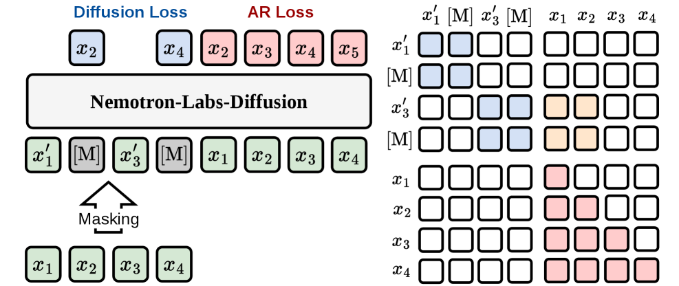 Figure 2 : Visualizing the attention pattern of Nemotron-Labs-Diffusion, where denotes attention among noisy tokens, denotes attention from noisy tokens to clean-context tokens, and denotes attention
